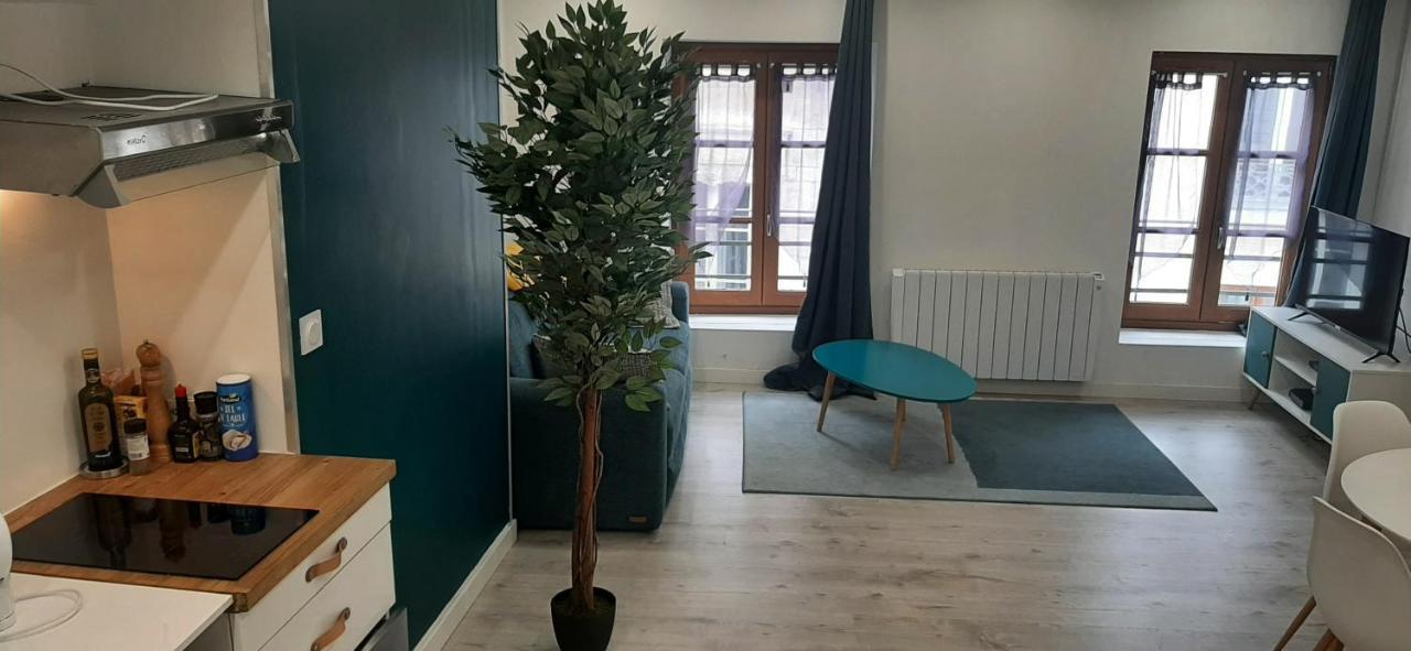 Appartement Netflix Centre De Vienne Pres De Lyon Екстериор снимка